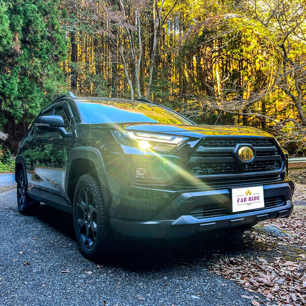 28842219_m のコピー