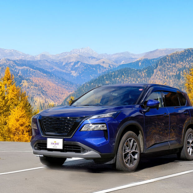 28454527_m のコピー1