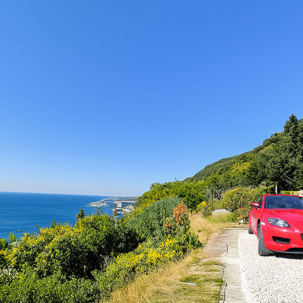 23631149_m のコピー