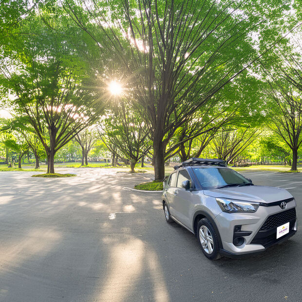 ライズ1 のコピー