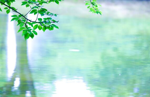 横浜でコーティングはFABRIDE