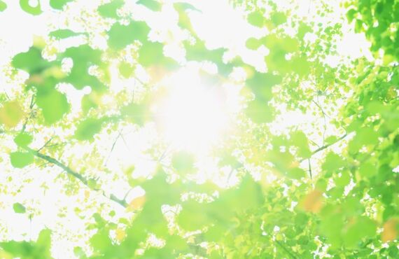 横浜でコーティングはFABRIDE